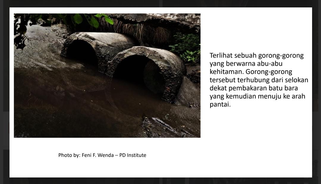 WhatsApp Image 2025-01-30 at 12.47.06