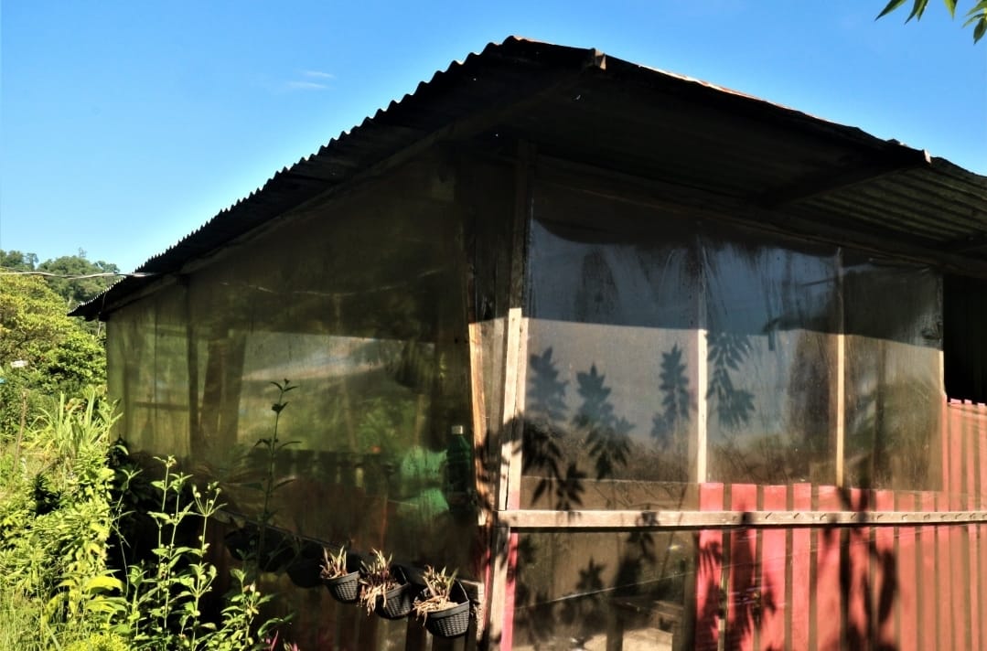 WhatsApp Image 2025-02-10 at 22.54.40